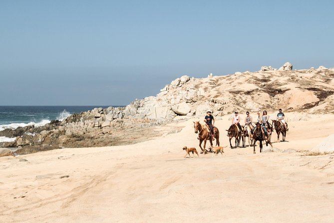 Horseback Riding Tour in Cabo San Lucas - The ride for children and nervous beginners