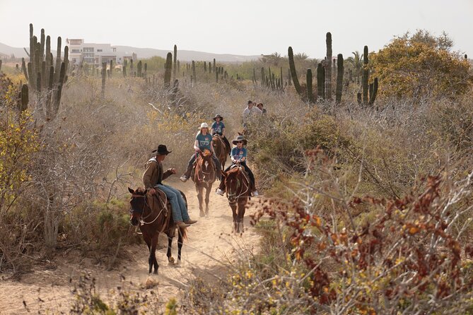 Horseback Riding Tour in Cabo San Lucas - Transport, timing, and the true length of the day