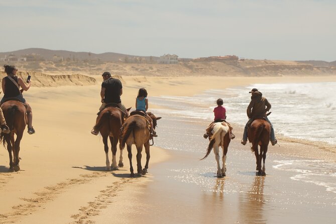 Horseback Riding Tour in Cabo San Lucas - How this compares with your expectations