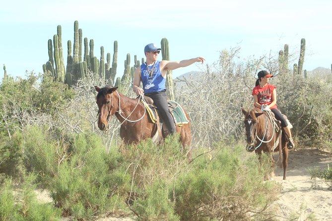 Horseback Riding Tour in Cabo San Lucas - Should you book Rancho Carisuva?