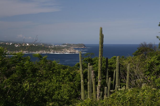 Huatulco City Tour HT - The first photo stop: Huatulco from above