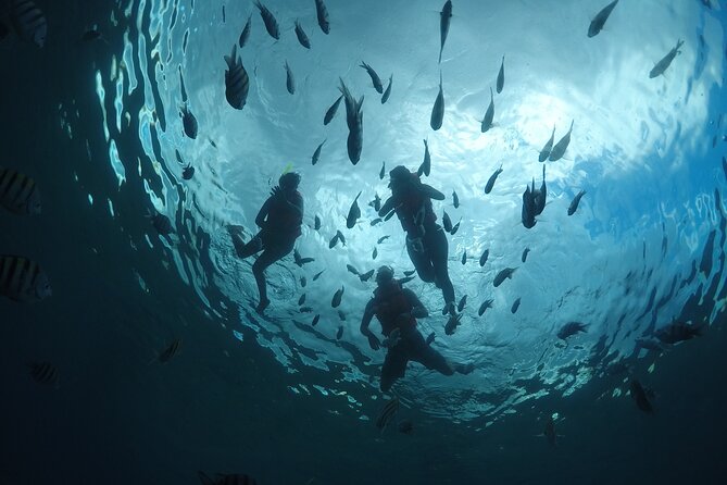 Invisible Boat Snorkeling Tour - Why the transparent boat is the real attraction