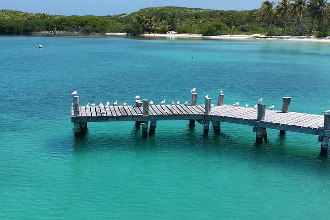 Isla Contoy and Isla Mujeres Tour with Snorkeling from Cancun - Ixlache Reef and the snorkeling stop