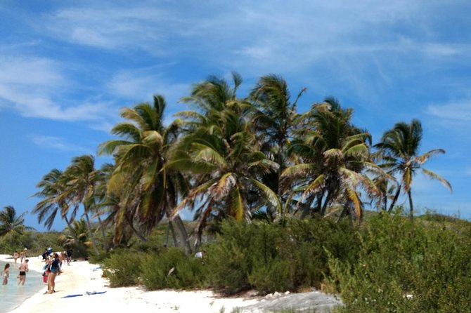 Isla Contoy and Isla Mujeres Tour with Snorkeling from Cancun - Isla Mujeres brings a very different mood