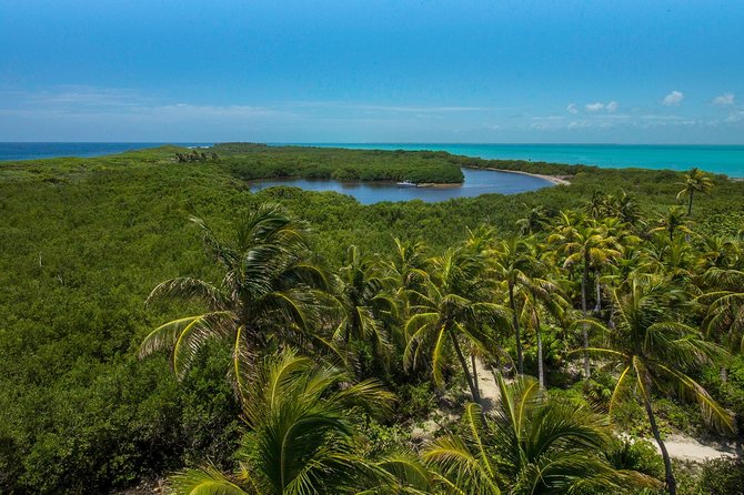 Isla Contoy and Isla Mujeres Tour with Snorkeling from Cancun - The return trip turns into a party