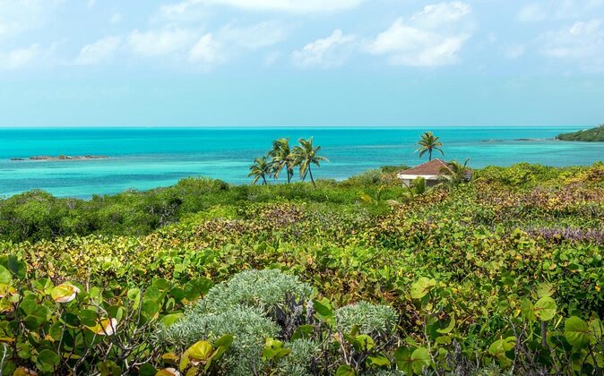 Isla Contoy Eco Adventure - Isla Mujeres: pretty, brief, and partly commercial