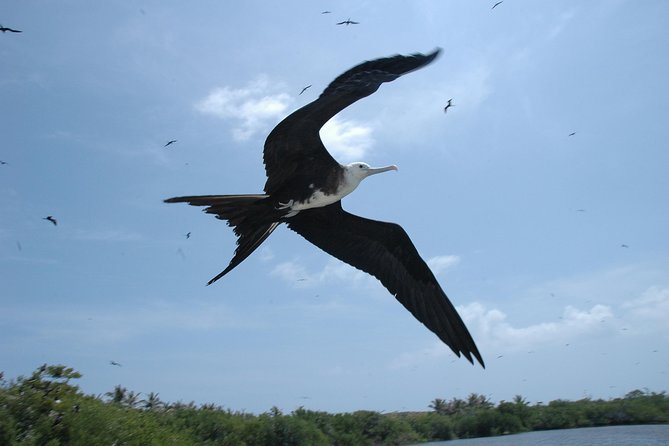 Isla Contoy Eco Adventure - Arriving at Contoy Island