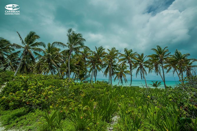 Isla Contoy Eco Adventure - Who will enjoy this day most