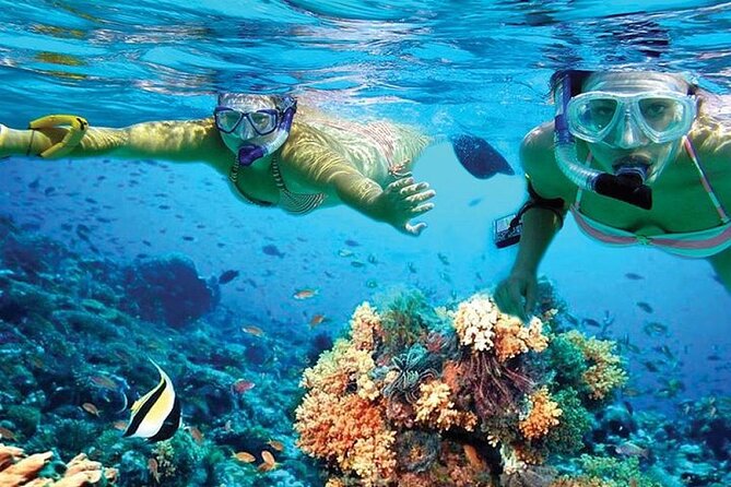 Isla Mujeres Catamaran, Open Bar & Optional Buffet and pick up - The beach club stop and lunch choices