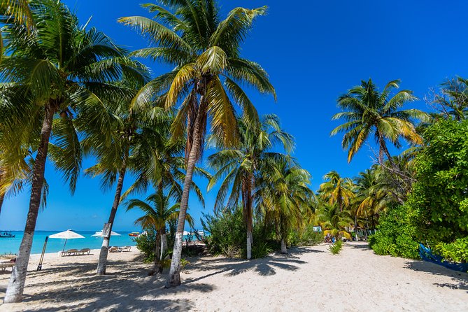 Isla Mujeres Catamaran, Open Bar & Optional Buffet and pick up - Weather, cancellations, and practical limits