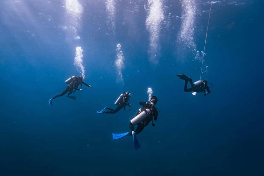 Isla Mujeres: Catamaran Ride with Open Bar, Snorkeling, and Lunch - Key points at a glance