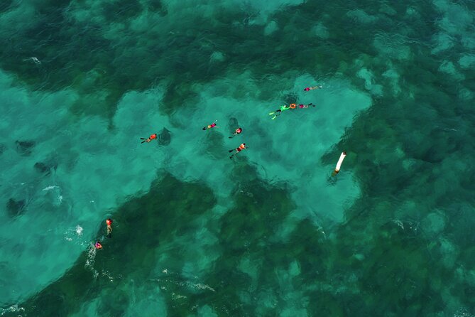 Isla Mujeres Island and Snorkeling Tour - The ride around Isla Mujeres and Punta Sur