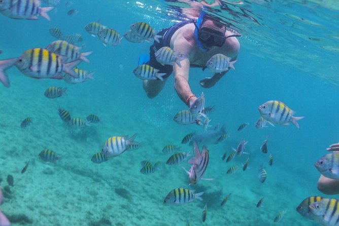 Isla Mujeres Luxury Sailing: Adults Only or Family Friendly - Adults-only or family-friendly?