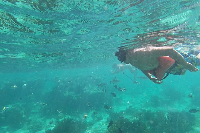 Isla Mujeres Snorkeling Adventure at the Underwater Museum - The first reef gives you time to get comfortable