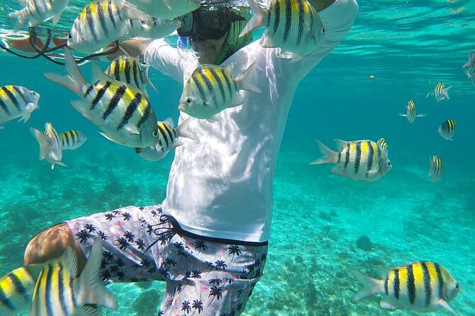 Isla Mujeres Snorkeling Adventure at the Underwater Museum - The deeper reef brings the best fish, but also the strongest conditions