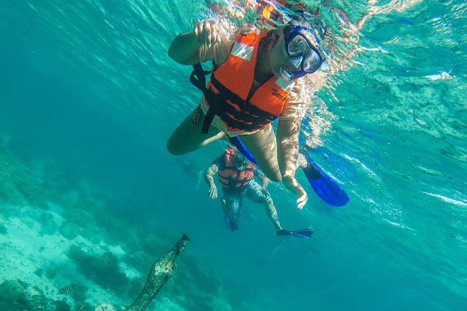 Isla Mujeres Snorkeling Tour Adventure - What the $58.74 price really buys you