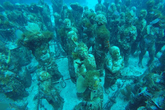Isla Mujeres Snorkeling Tour Adventure - Guides, safety, and the beginner question