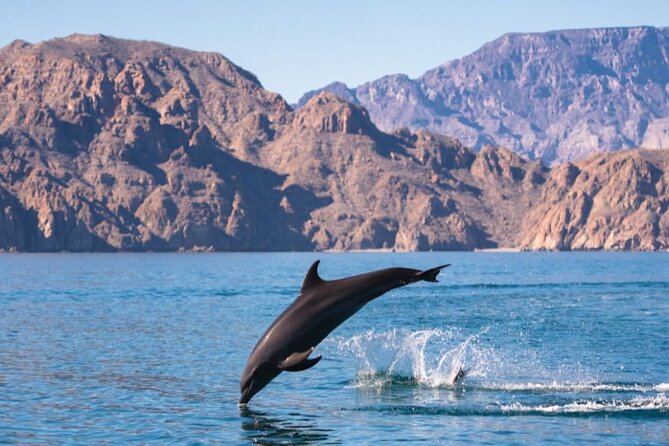 Island Tour with Snorkeling and Picnic - Who should choose this island tour
