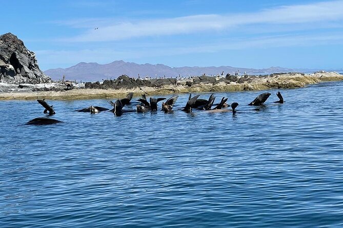 Island Tour with Snorkeling and Picnic - Should you book it?