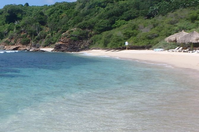 Ixtapa Island Tour - Playa Linda Lagoon starts the morning with wildlife