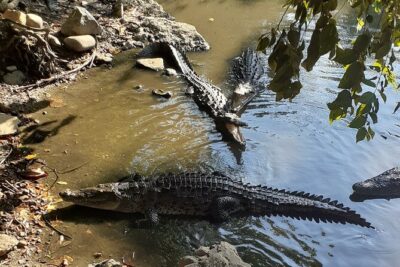 Ixtapa Island Tour