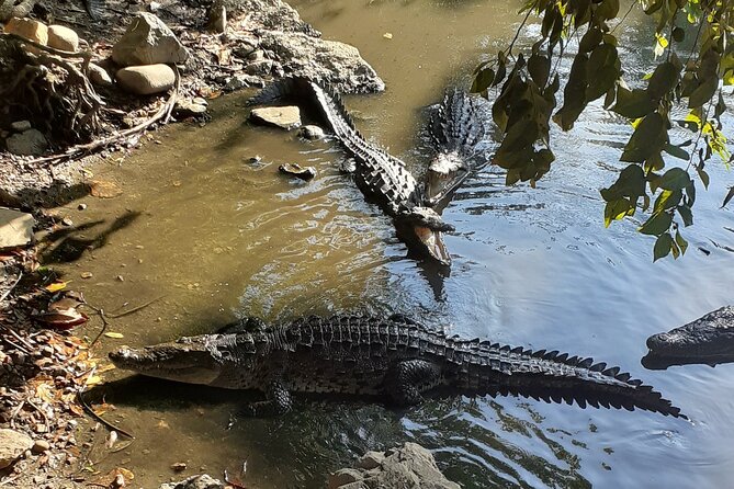 Ixtapa Island Tour - The panga ride to Ixtapa Island