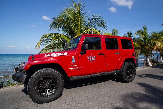 Jeep Exploration & All Inclusive Tortugas Beach Break (Private) - Why this Cozumel Jeep tour works