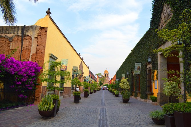 José Cuervo Tequila Day Experience from Guadalajara - Why this Guadalajara tequila trip works