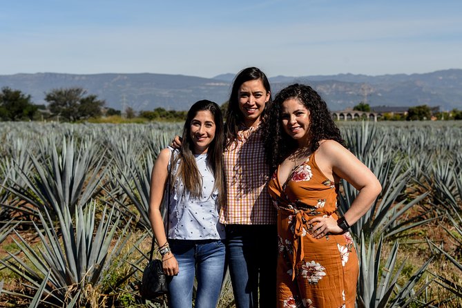 José Cuervo Tequila Day Experience from Guadalajara - Time in the town of Tequila