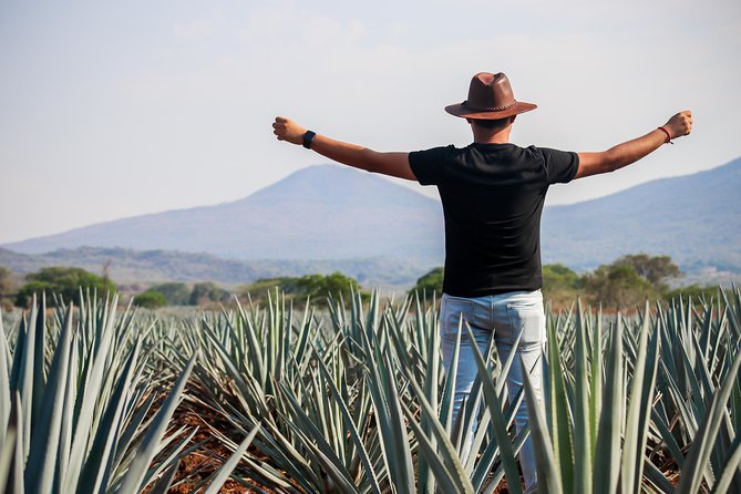 José Cuervo Tequila Day Experience from Guadalajara - The drive from Guadalajara to Tequila