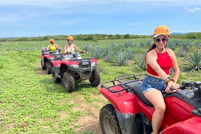 Jungle and beach ATV tour + lunch + tequila tasting - Key points at a glance
