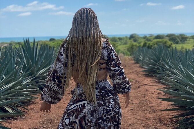 Jungle and beach ATV tour + lunch + tequila tasting - The quiet beach stop