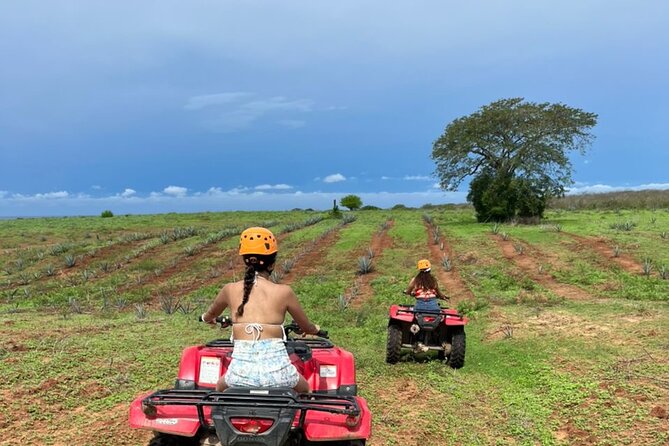 Jungle and beach ATV tour + lunch + tequila tasting - Hospitality, guides, and group size