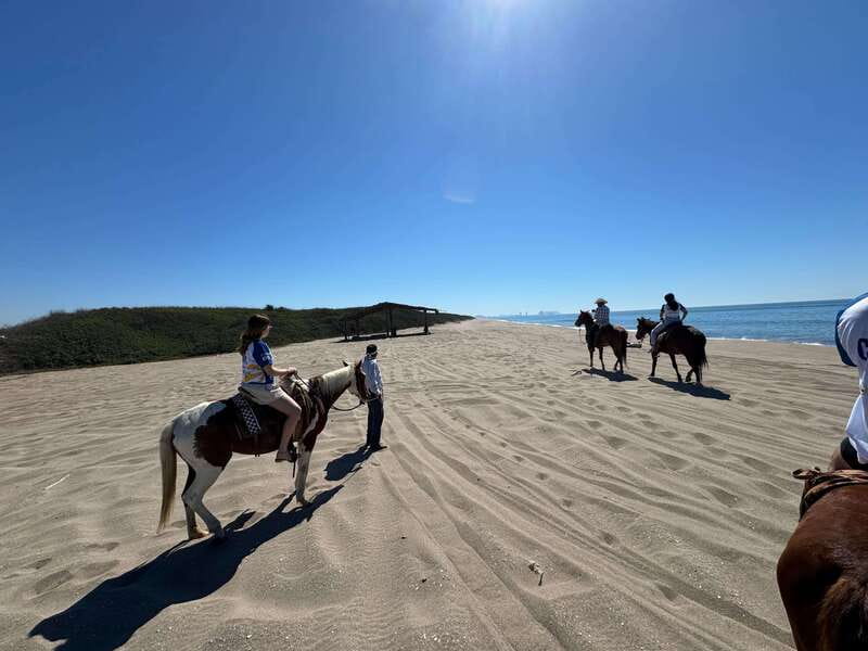 Jungle and beach horseback ride + lunch + mezcal - Ninety minutes on horseback