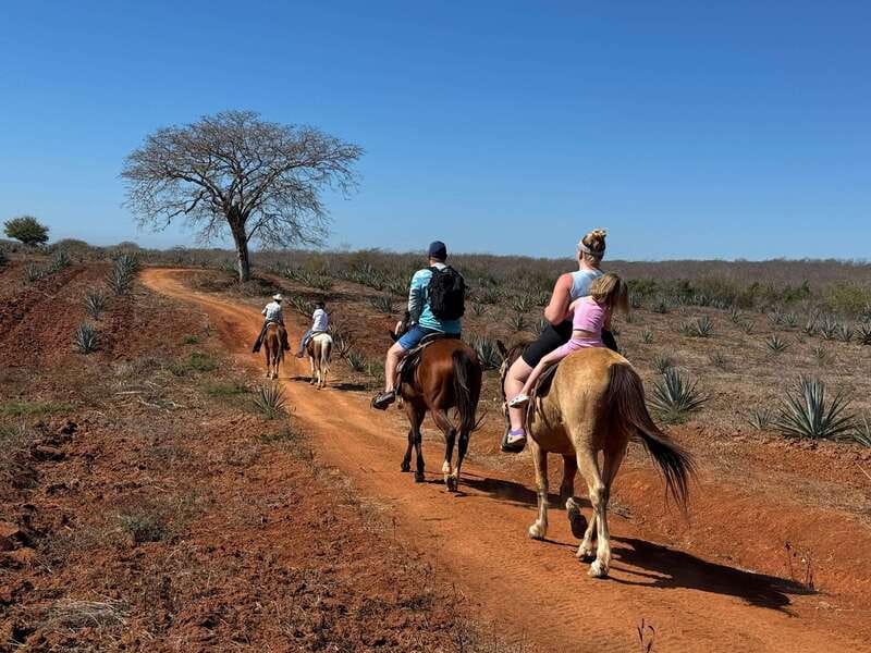 Jungle and beach horseback ride + lunch + mezcal - Guides, language, and the general pace