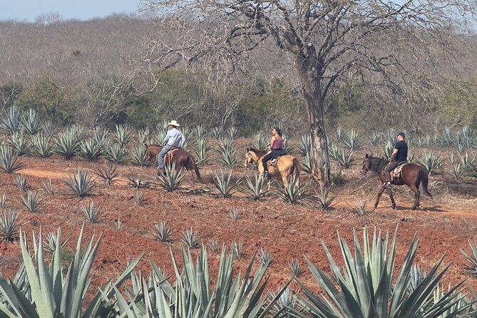 Jungle and Beach Horseback ride Tour in Pacific Coast - What the $90 price really includes