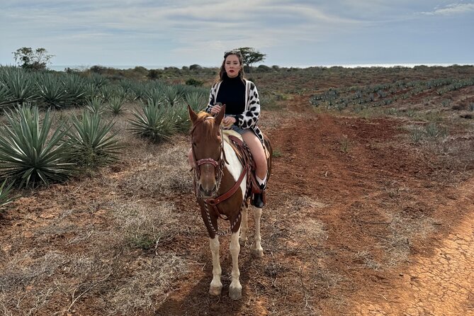 Jungle and Beach Horseback ride Tour in Pacific Coast - Who will enjoy this Mazatlan outing