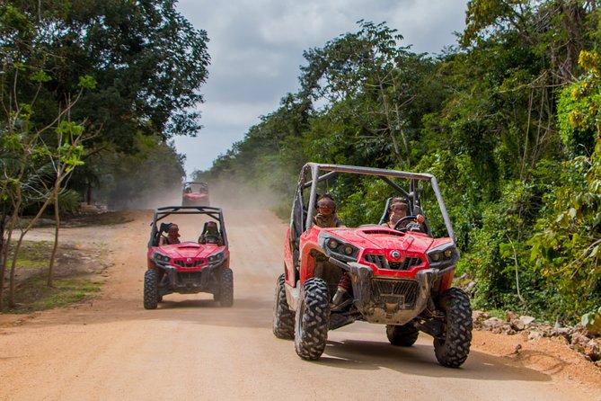Jungle Buggy Tour from Playa del Carmen Including Cenote Swim - Why the 40-kilometer jungle route matters