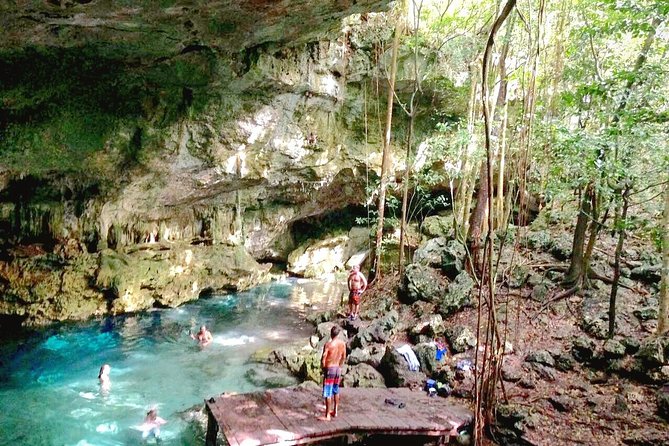 Jungle Buggy Tour from Playa del Carmen Including Cenote Swim - What the three-hour schedule feels like