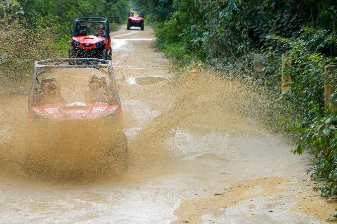 Jungle Buggy Tour from Playa del Carmen Including Cenote Swim - Transport from Playa del Carmen and the meeting point