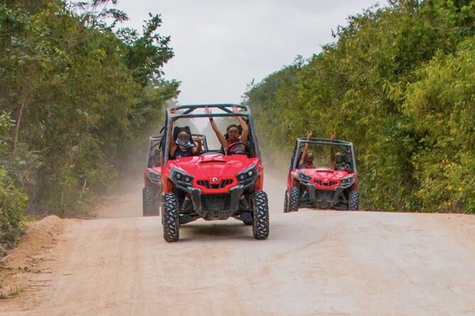 Jungle Buggy Tour from Playa del Carmen Including Cenote Swim - Equipment, comfort, and safety