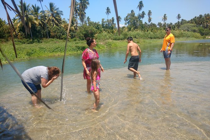 Jungle Coyuca Lagoon Boat Ride Experience & Baby Turtle Release - The baby turtle release is the heart of the day