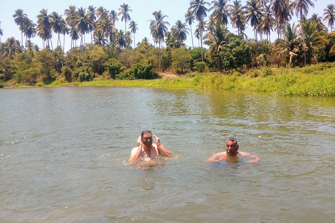 Jungle Coyuca Lagoon Boat Ride Experience & Baby Turtle Release - What the $150.99 price really covers