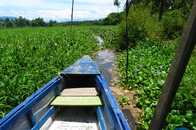 Jungle Coyuca Lagoon Boat Ride Experience & Baby Turtle Release - Coyuca Lagoon, open water and local scenery