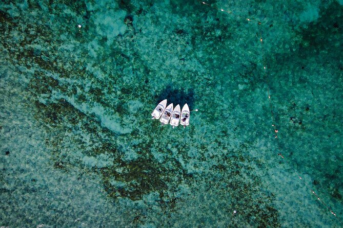 Jungle Tour & Snorkel at Punta Nizuc Reef , Underwater museum - Driving through Cancun’s mangrove channels