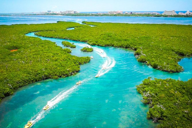 Jungle Tour with Snorkel in Cancun - The mangroves add more than scenery