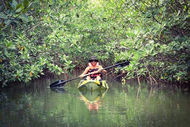 Kayak Adventure in Cancun - Why an early start can be worth it