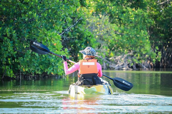 Kayak Adventure in Cancun - A guide-led nature experience, not a race