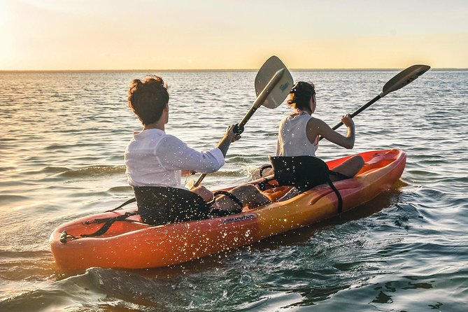Kayak adventure through Laguna Nichupté in Cancun - Practical Details Before You Book