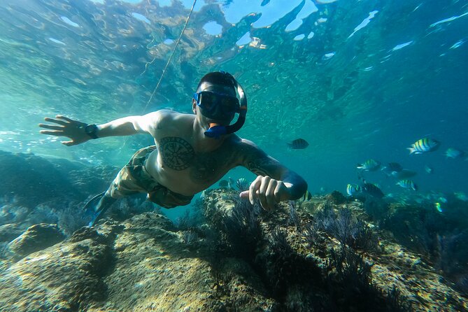 Kayak Expedition to the Arch of Cabo San Lucas, Lovers Beach & Snorkel - Who will enjoy this Cabo excursion most